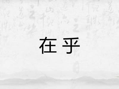 在乎