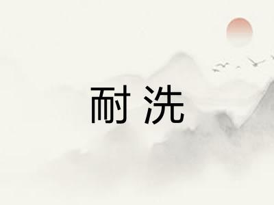 耐洗