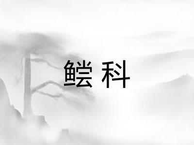 鲿科