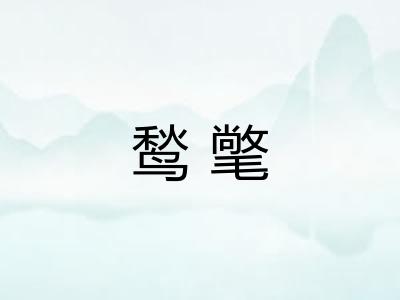 鹙氅