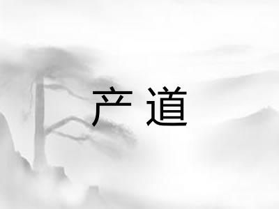 产道