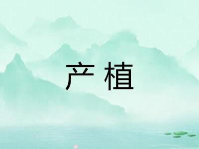 产植