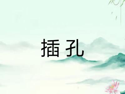 插孔