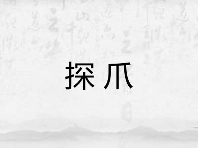 探爪