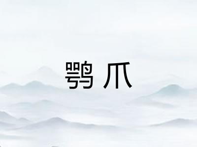 鹗爪