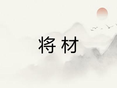 将材