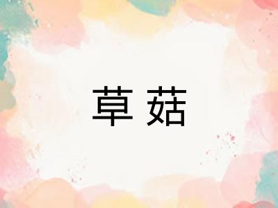 草菇