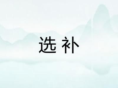 选补