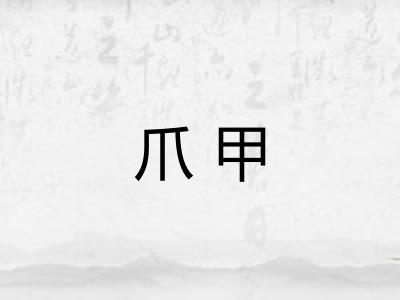 爪甲