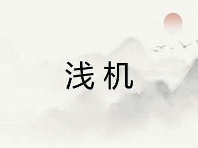 浅机