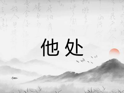 他处
