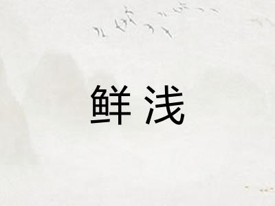 鲜浅