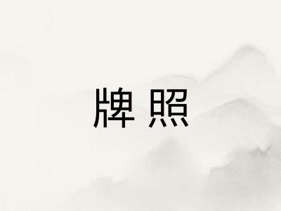 牌照