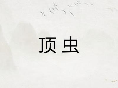 顶虫