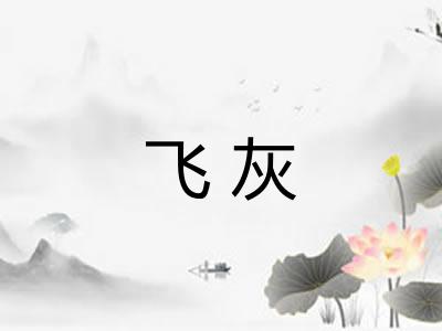 飞灰 飞灰