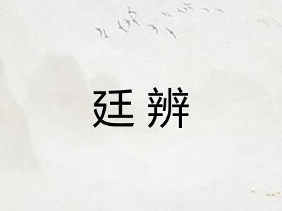 廷辨