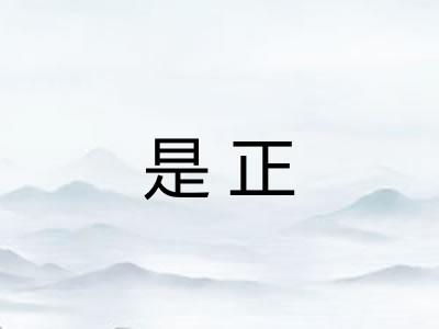 是正