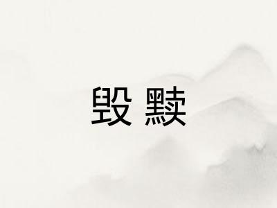 毁黩