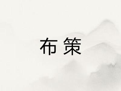 布策