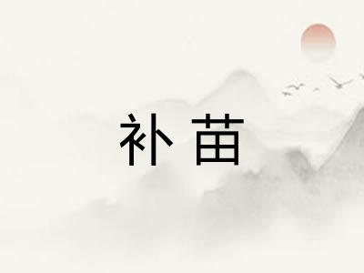 补苗