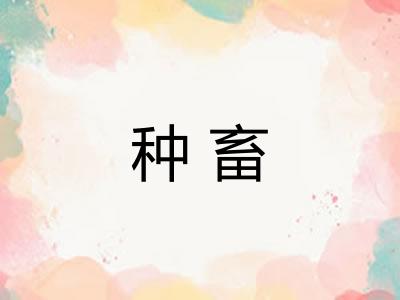 种畜