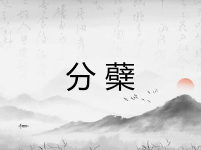 分蘗