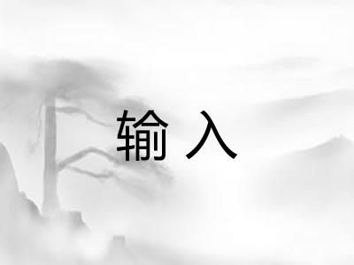 输入