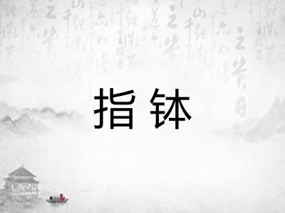 指钵