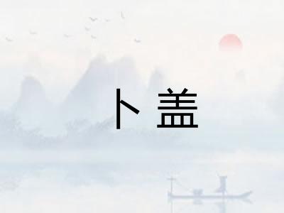卜盖