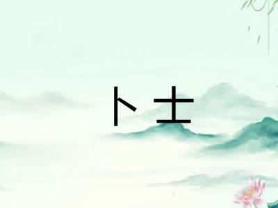 卜士