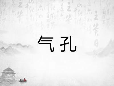 气孔