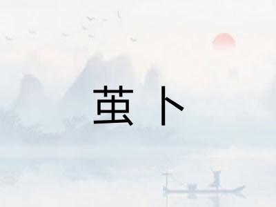 茧卜