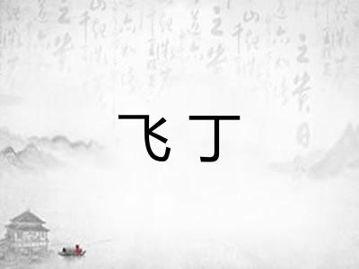 飞丁