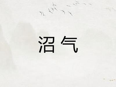 沼气
