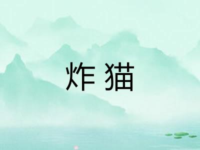 炸猫