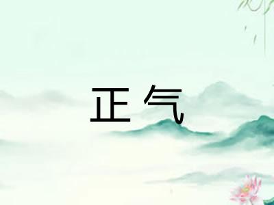 正气 正气