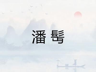 潘髩