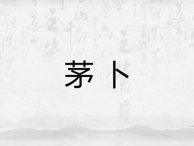 茅卜