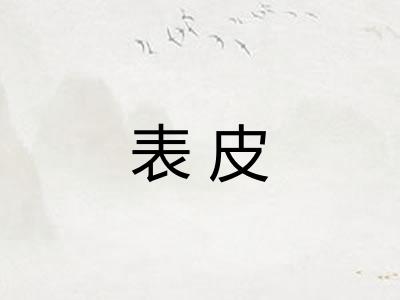 表皮 表皮