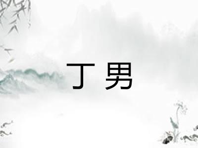 丁男
