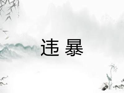 违暴