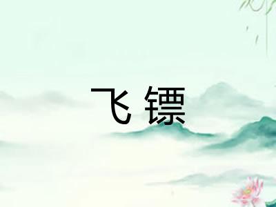 飞镖
