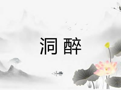 洞醉