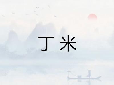丁米