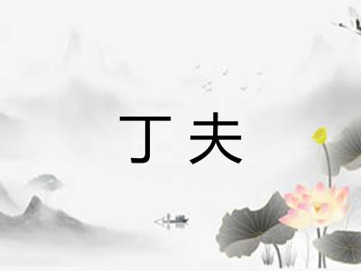 丁夫
