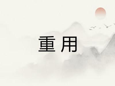 重用 重用