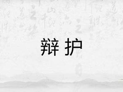 辩护