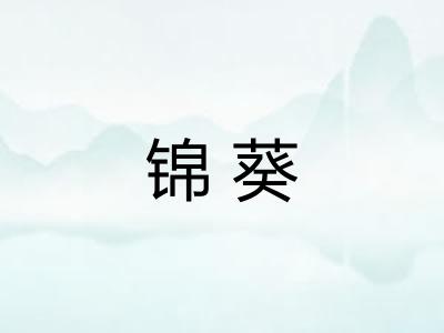 锦葵
