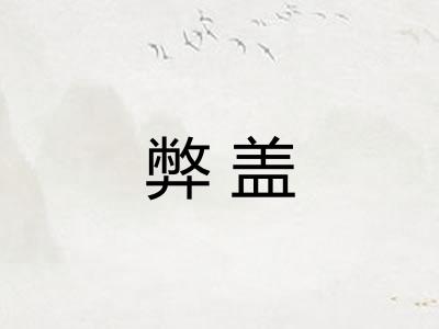 弊盖