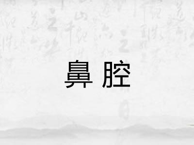 鼻腔